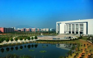 南方科技大学湖北，南方科技大学湖北招生计划